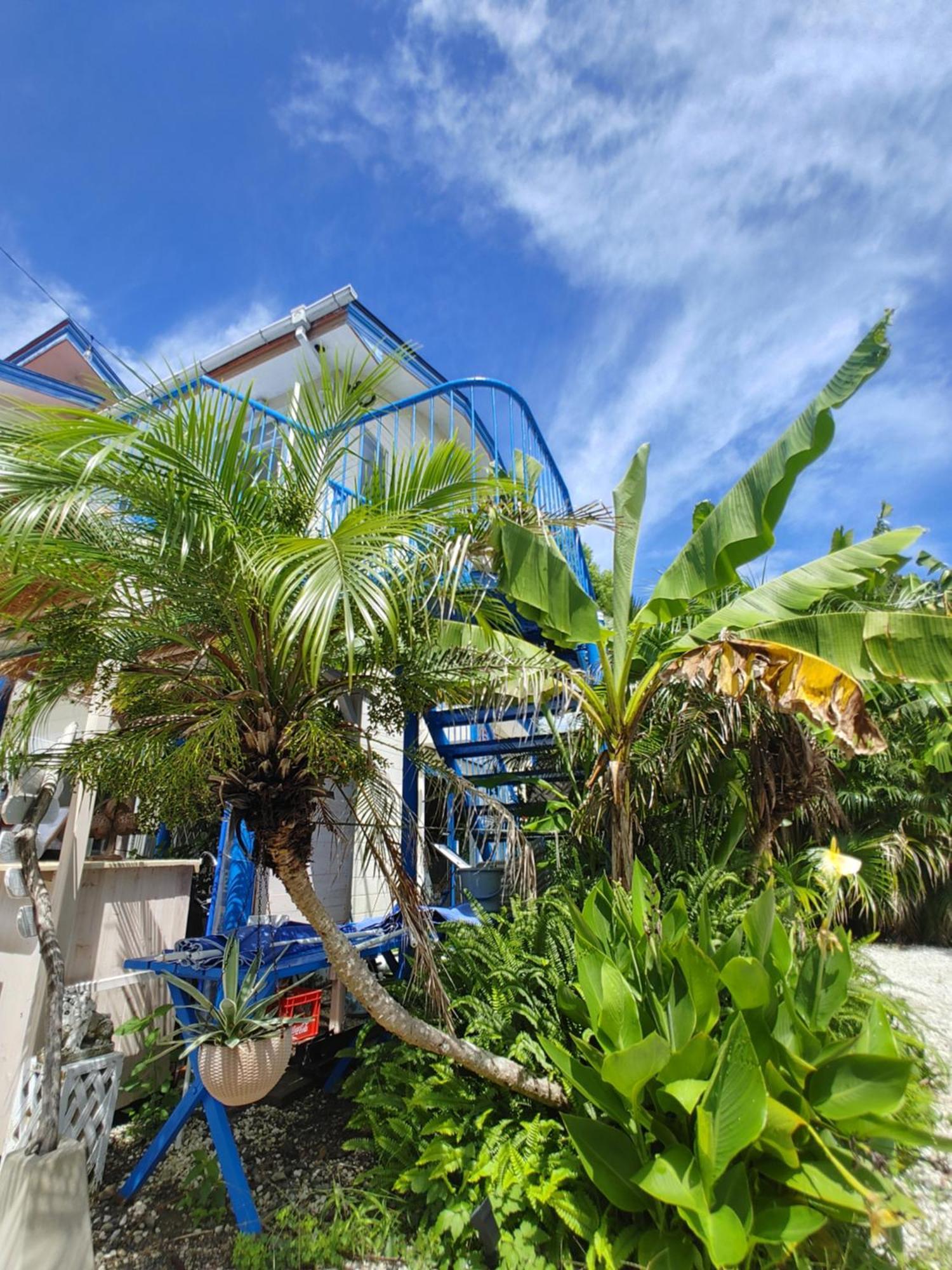 Guest House Churaumi Shimoda (Shizuoka) Exterior foto