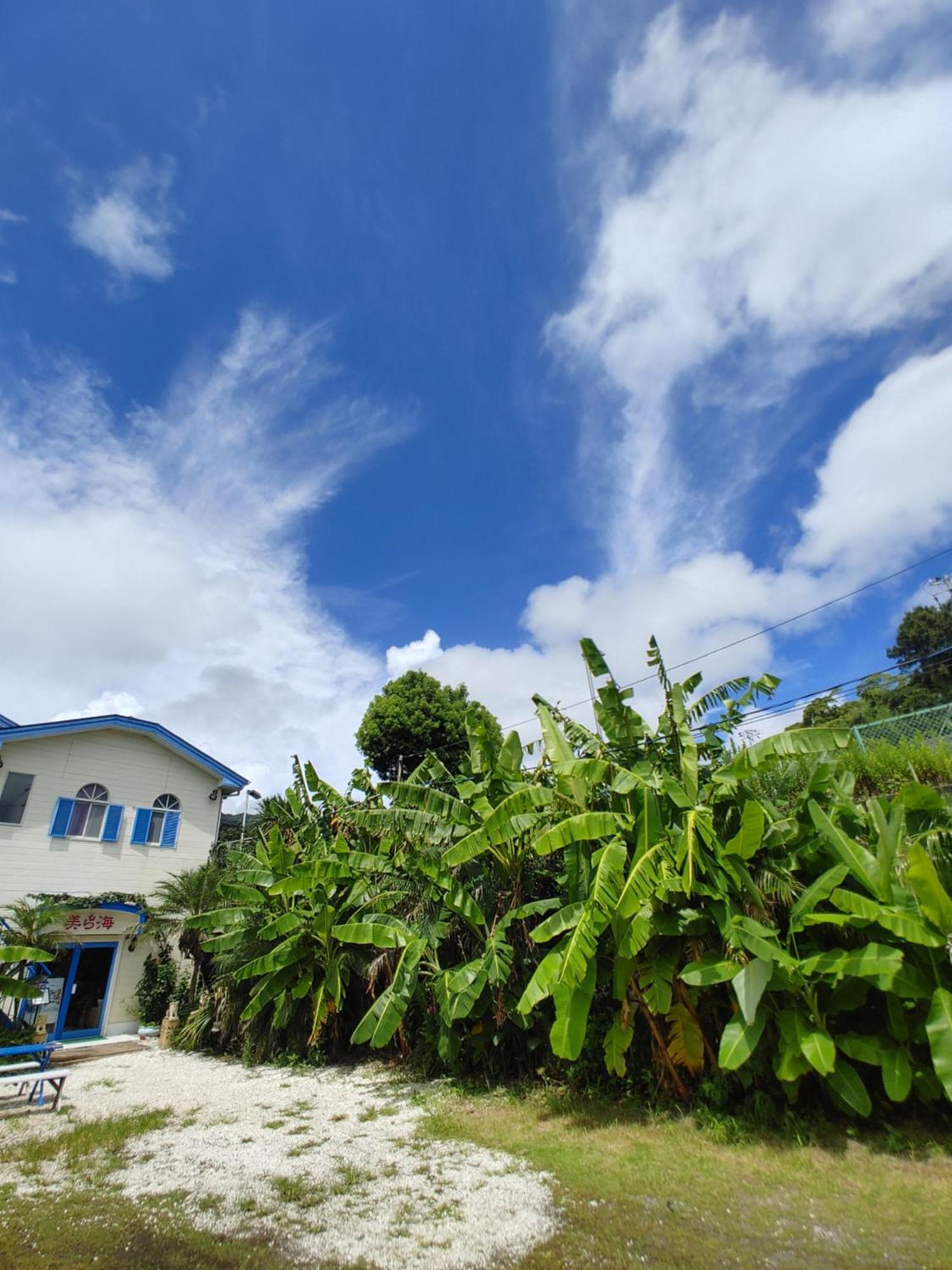 Guest House Churaumi Shimoda (Shizuoka) Exterior foto