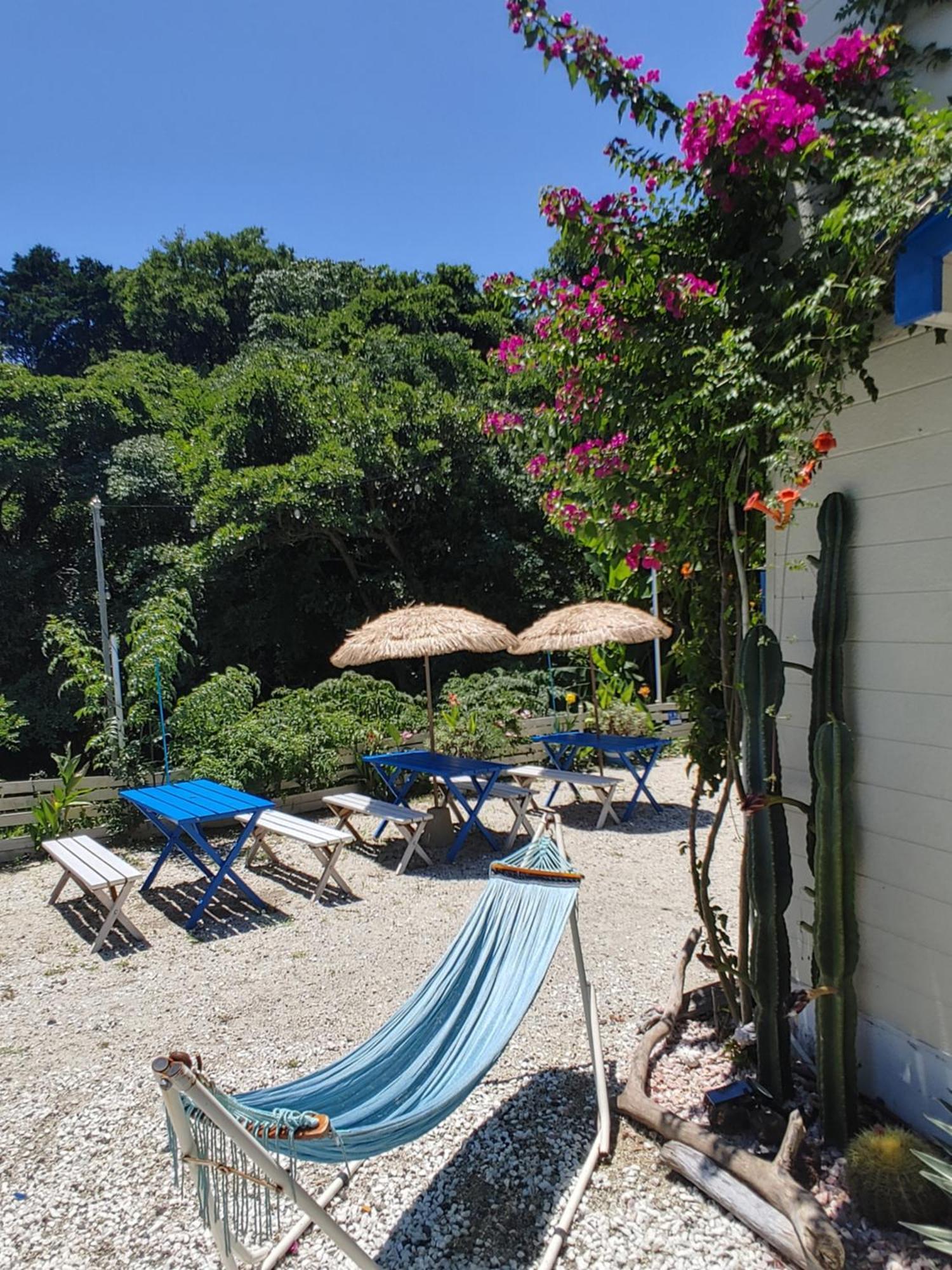 Guest House Churaumi Shimoda (Shizuoka) Exterior foto
