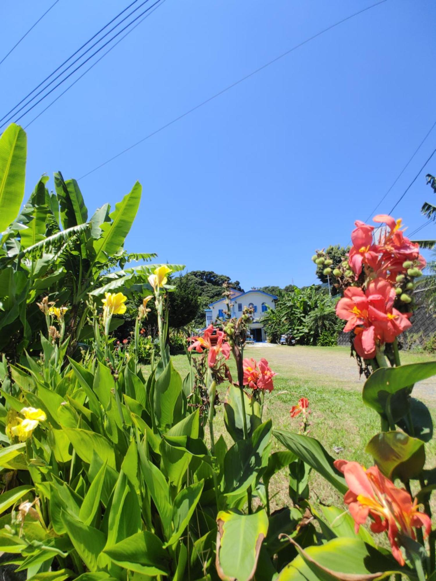 Guest House Churaumi Shimoda (Shizuoka) Exterior foto